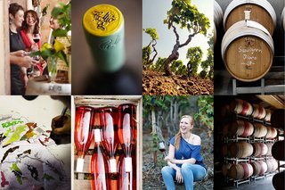 Panorama Wein mit Herkunft