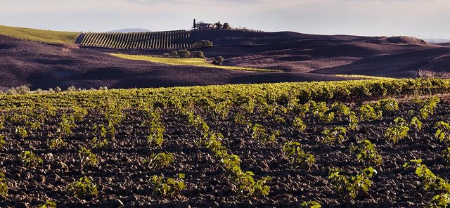 Panorama Landschaft
